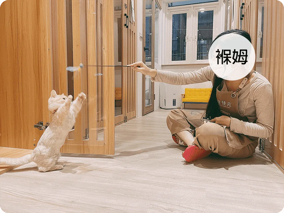 專屬陪玩服務