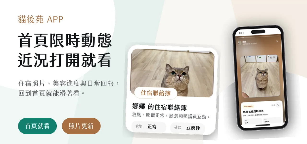 想牠了？首頁打開就看到 BN