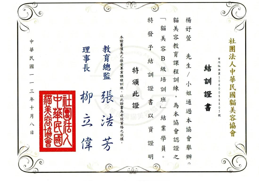 貓美容 B 級結訓