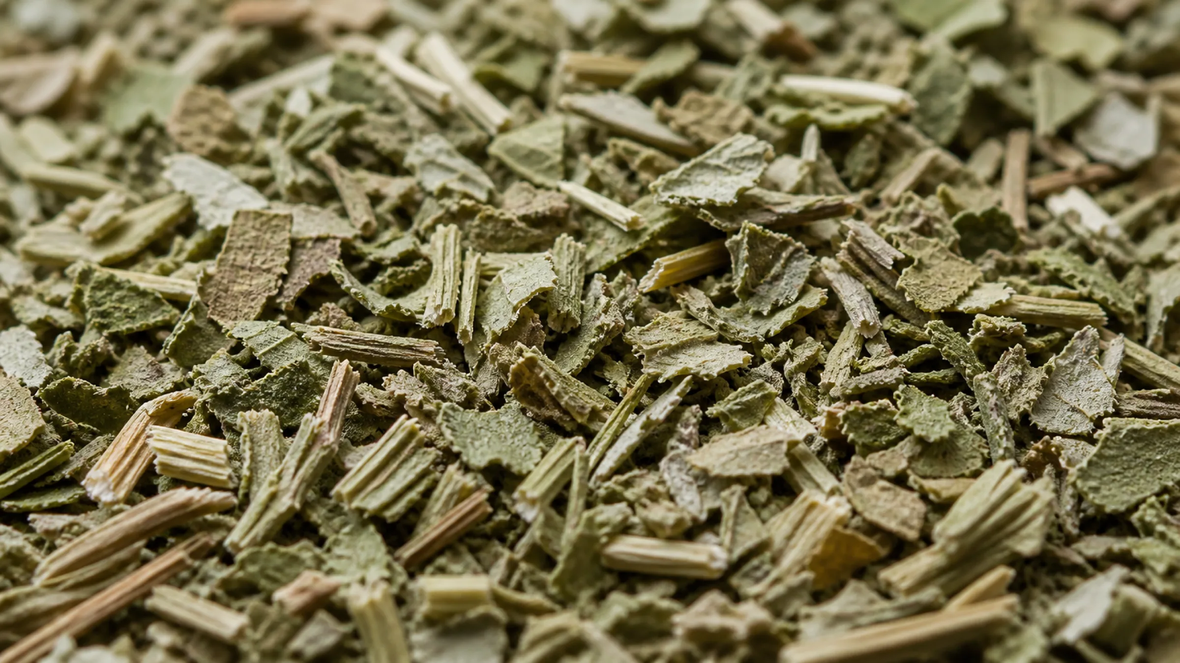 特級貓薄荷草 3