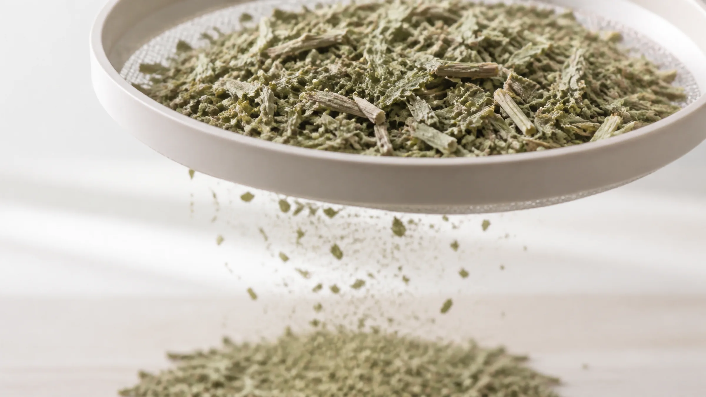 特級貓薄荷草 5