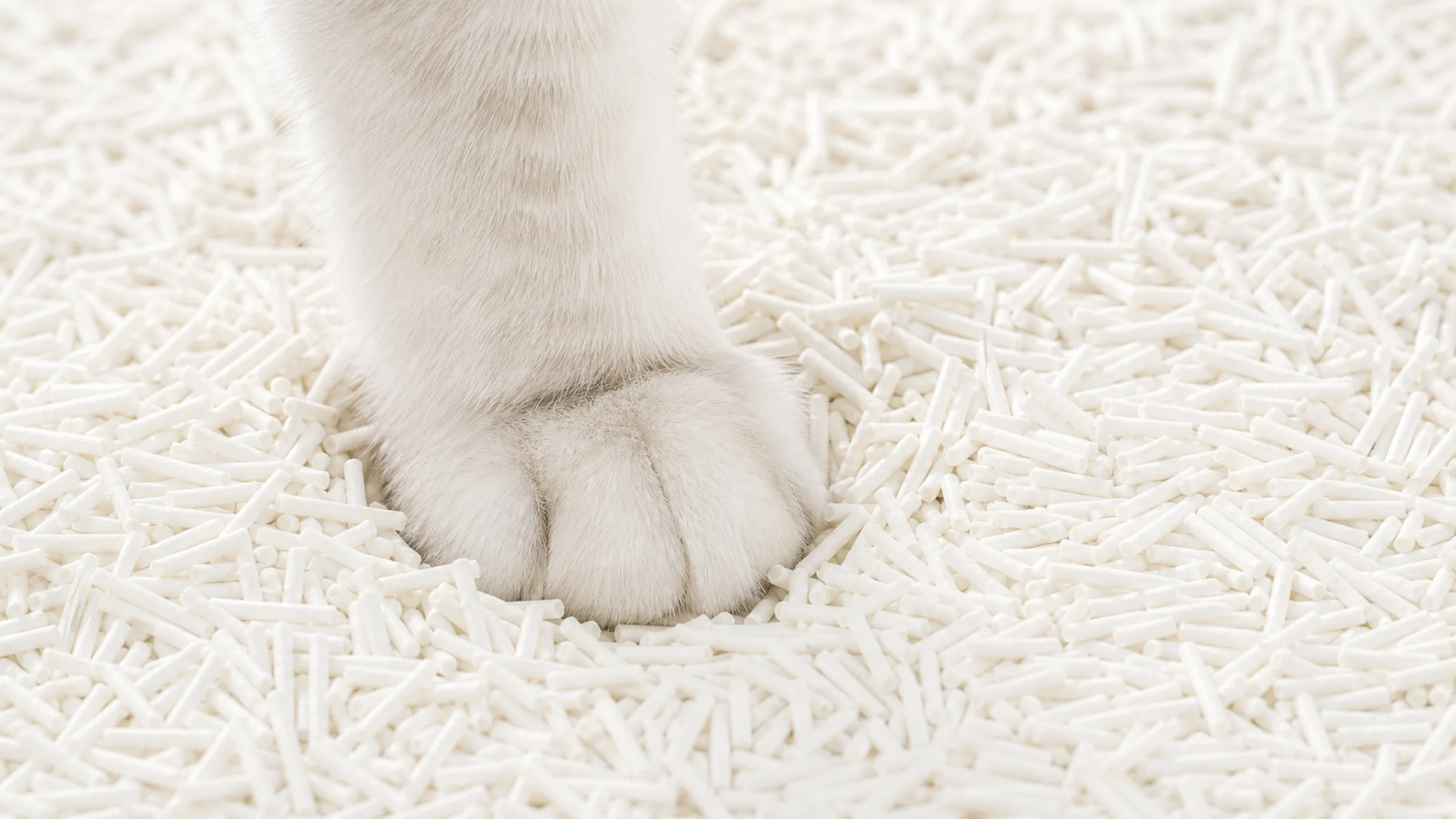 Ultra-Fine Tofu Litter 3.0 7