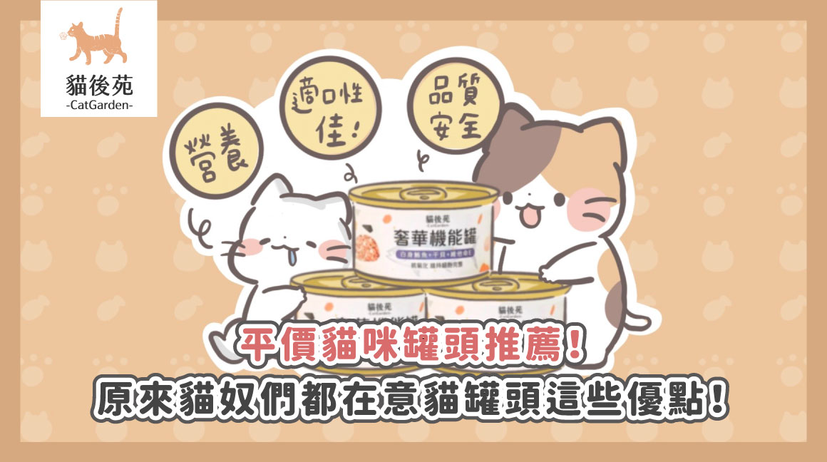 2026平價高CP值貓罐頭推薦｜機能罐3大選購重點