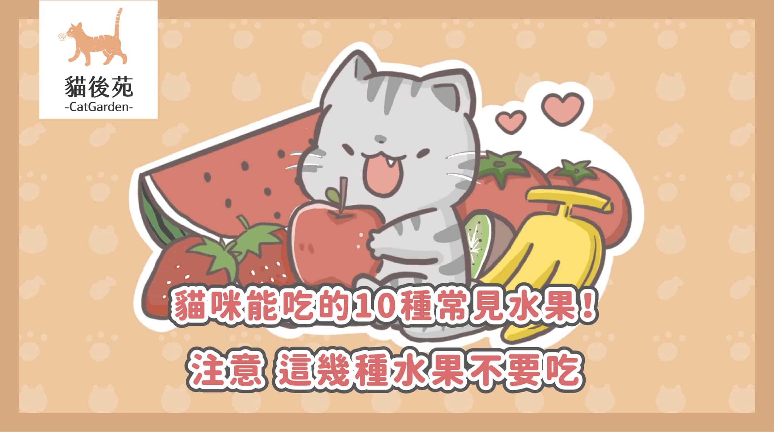 貓咪可以吃水果嗎？12種安全水果、7種禁忌與幼貓餵食指南