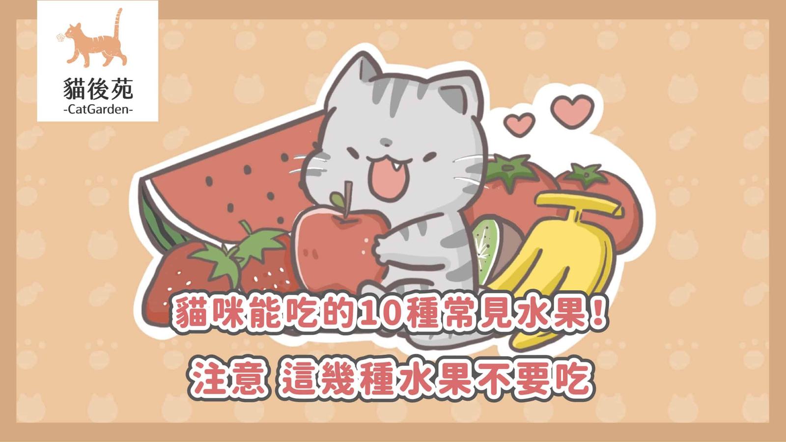 貓咪可以吃水果嗎?12種安全水果、7種禁忌與幼貓餵食指南