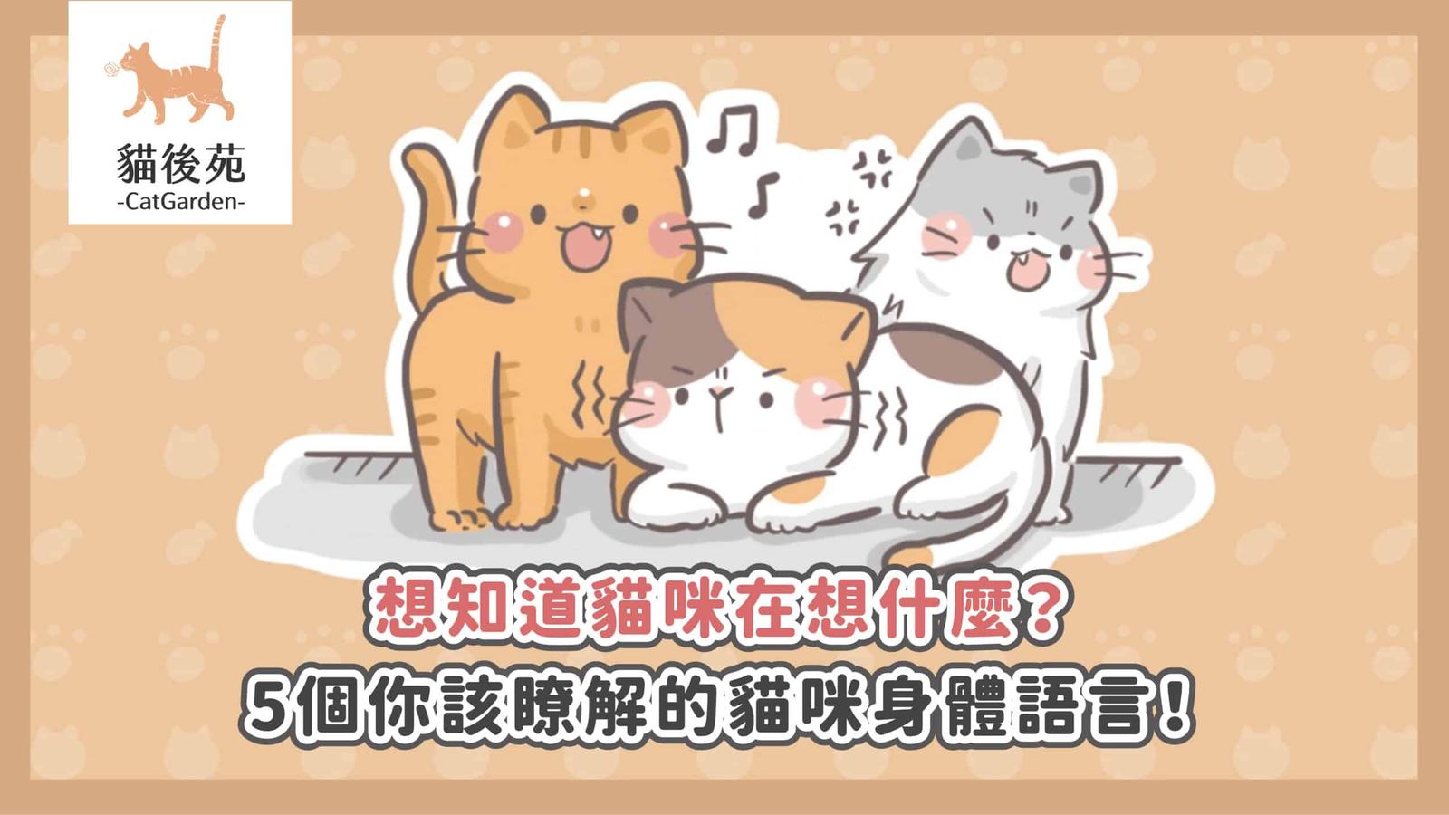 貓咪搖尾巴代表什麼?5 種尾巴訊號與情緒判讀