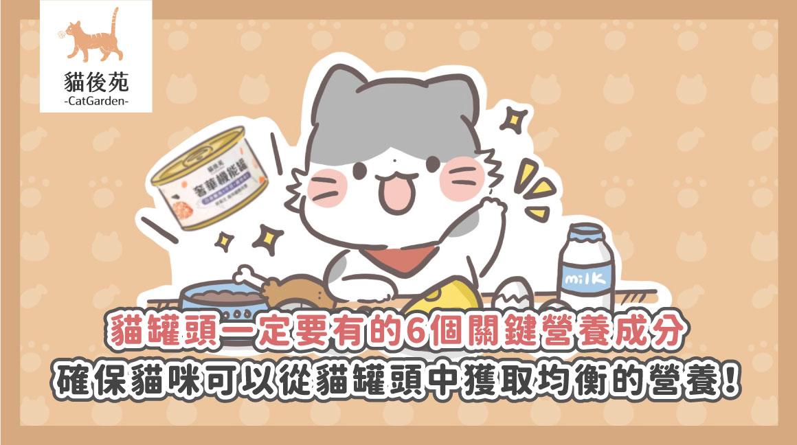 營養標示怎麼看？6大關鍵教你挑對主食罐，守護貓咪健康！