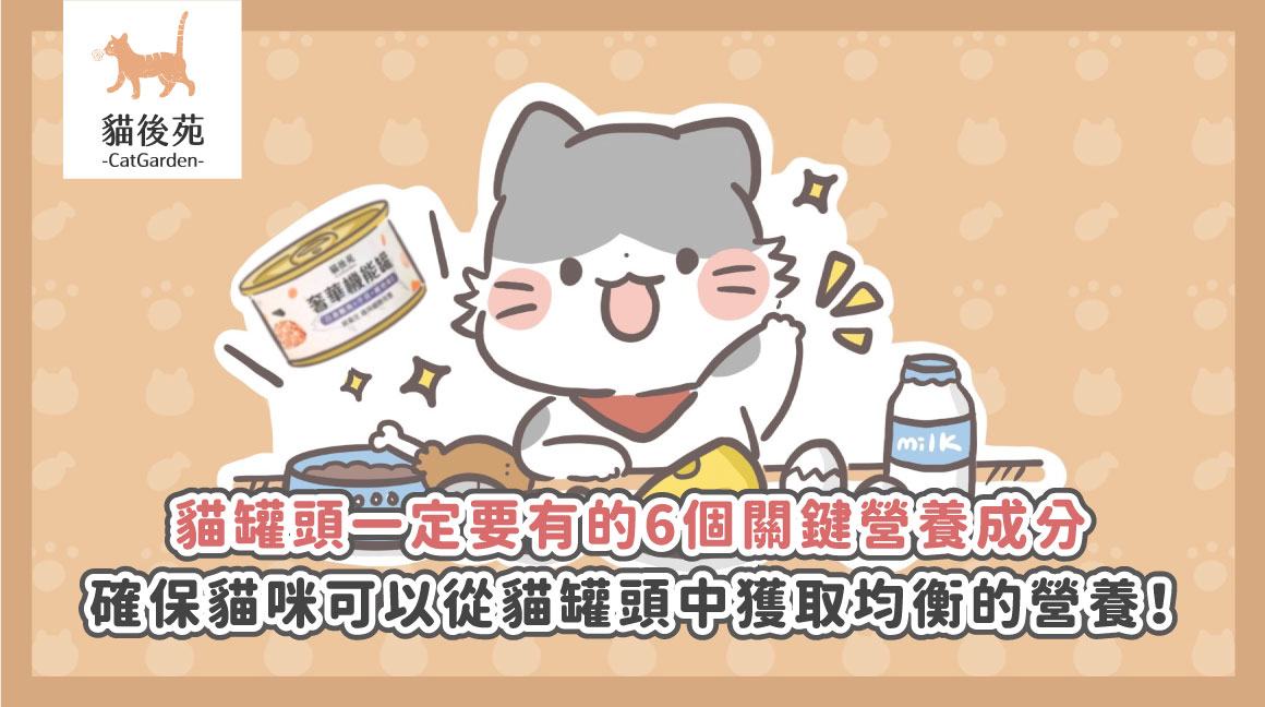營養標示怎麼看?6大關鍵教你挑對主食罐,守護貓咪健康!
