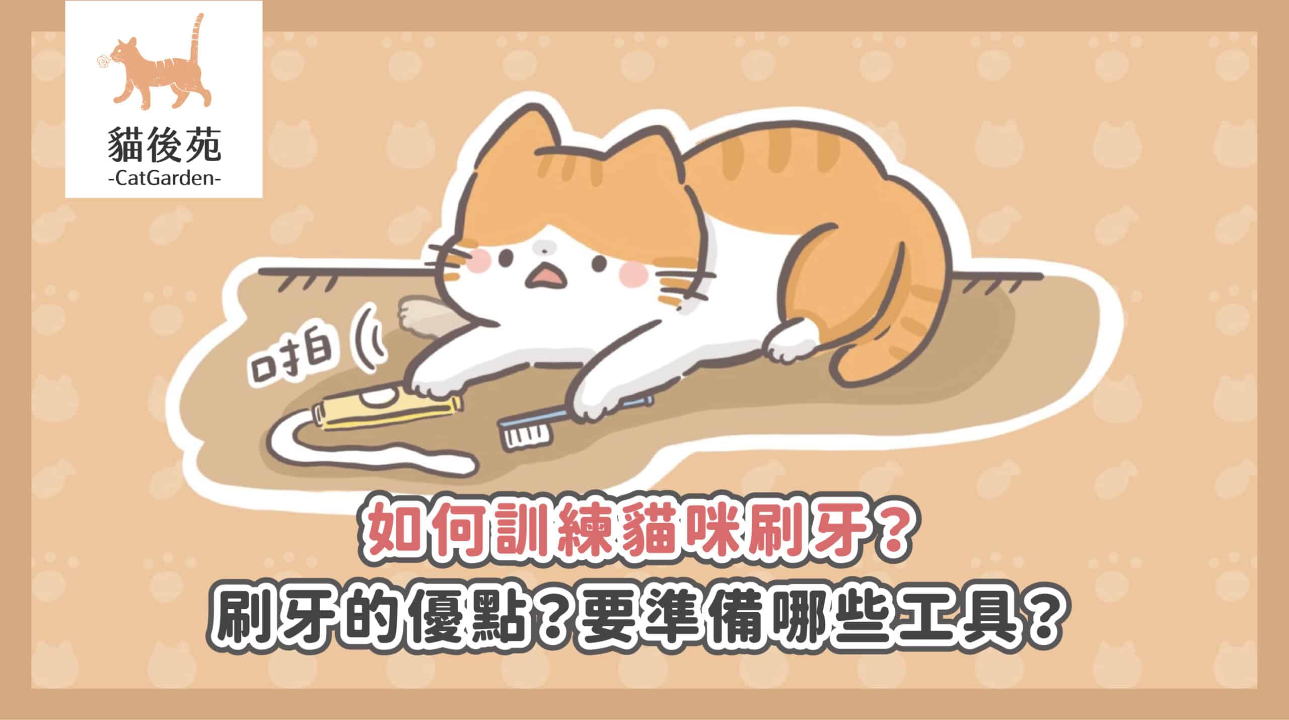 貓咪口臭怎麼辦？刷牙訓練、牙周警訊與口腔照護