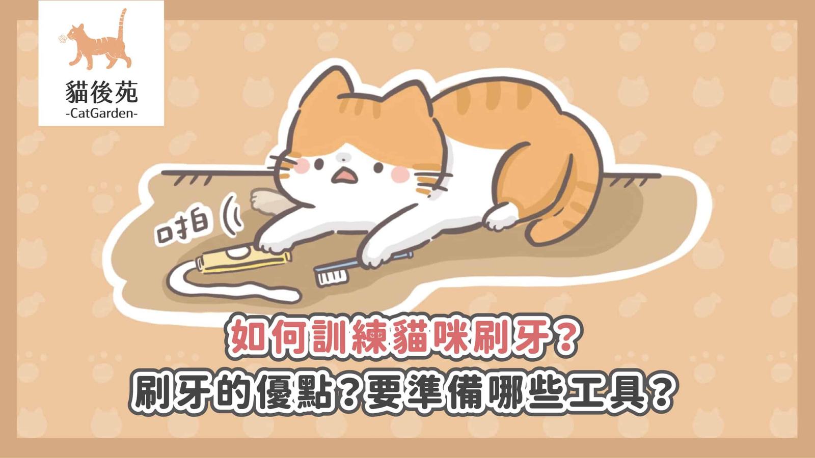 貓咪口臭怎麼辦?刷牙訓練、牙周警訊與口腔照護