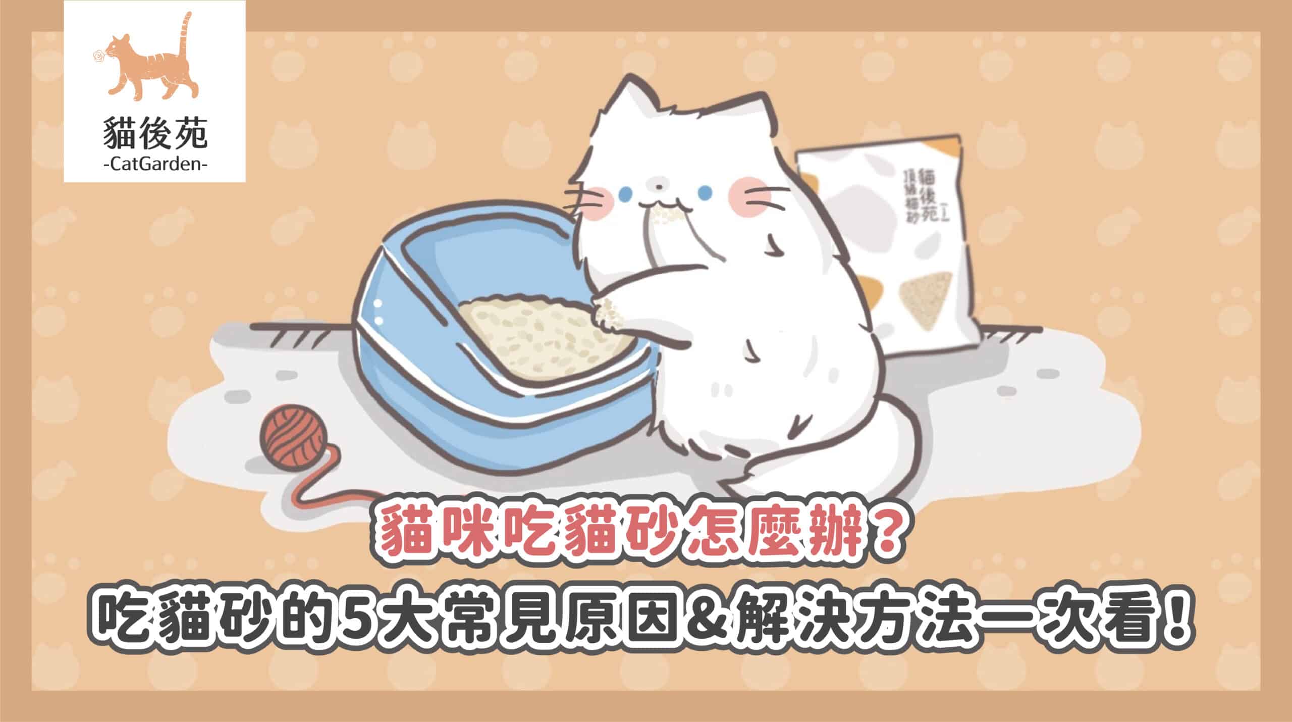 貓咪吃貓砂怎麼辦？是生病還是調皮？5大原因與解決方法