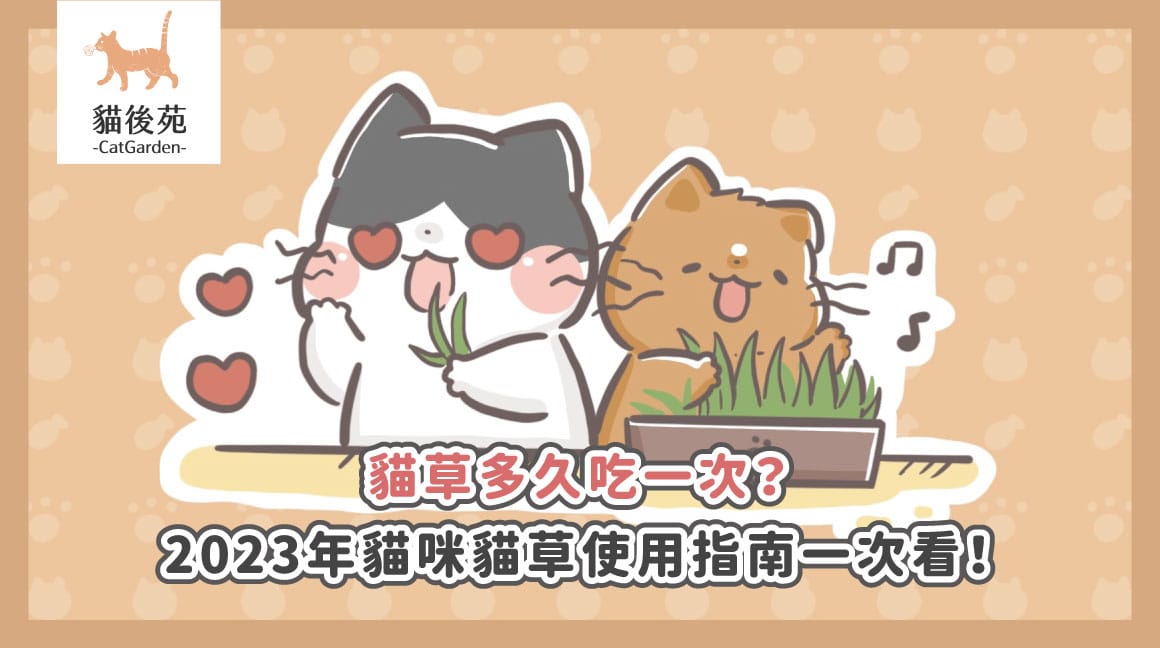 貓草多久吃一次？貓薄荷多久用？獸醫教你分辨貓草與貓薄荷差別、4大好處與用法！