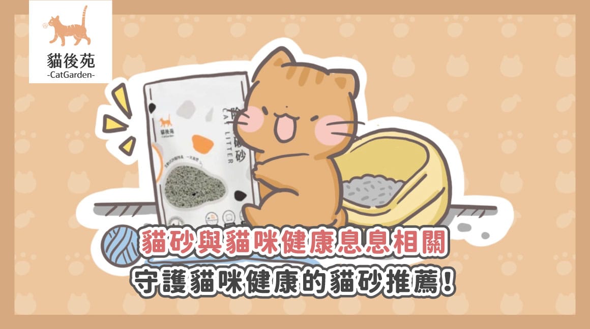 便宜貓砂＝劣質品？破解貓砂價格迷思！內行貓奴都推這2款高CP值貓砂，最低$179起！