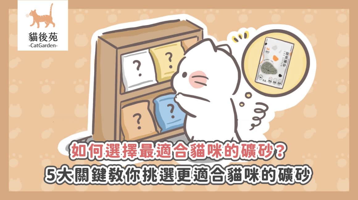 礦砂好用嗎？優缺點分析、5大挑選法與PTT好評款推薦