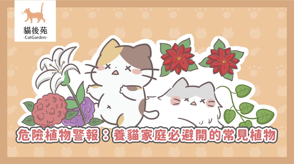 對貓有毒的植物有哪些？4 種常見植物與誤食預防