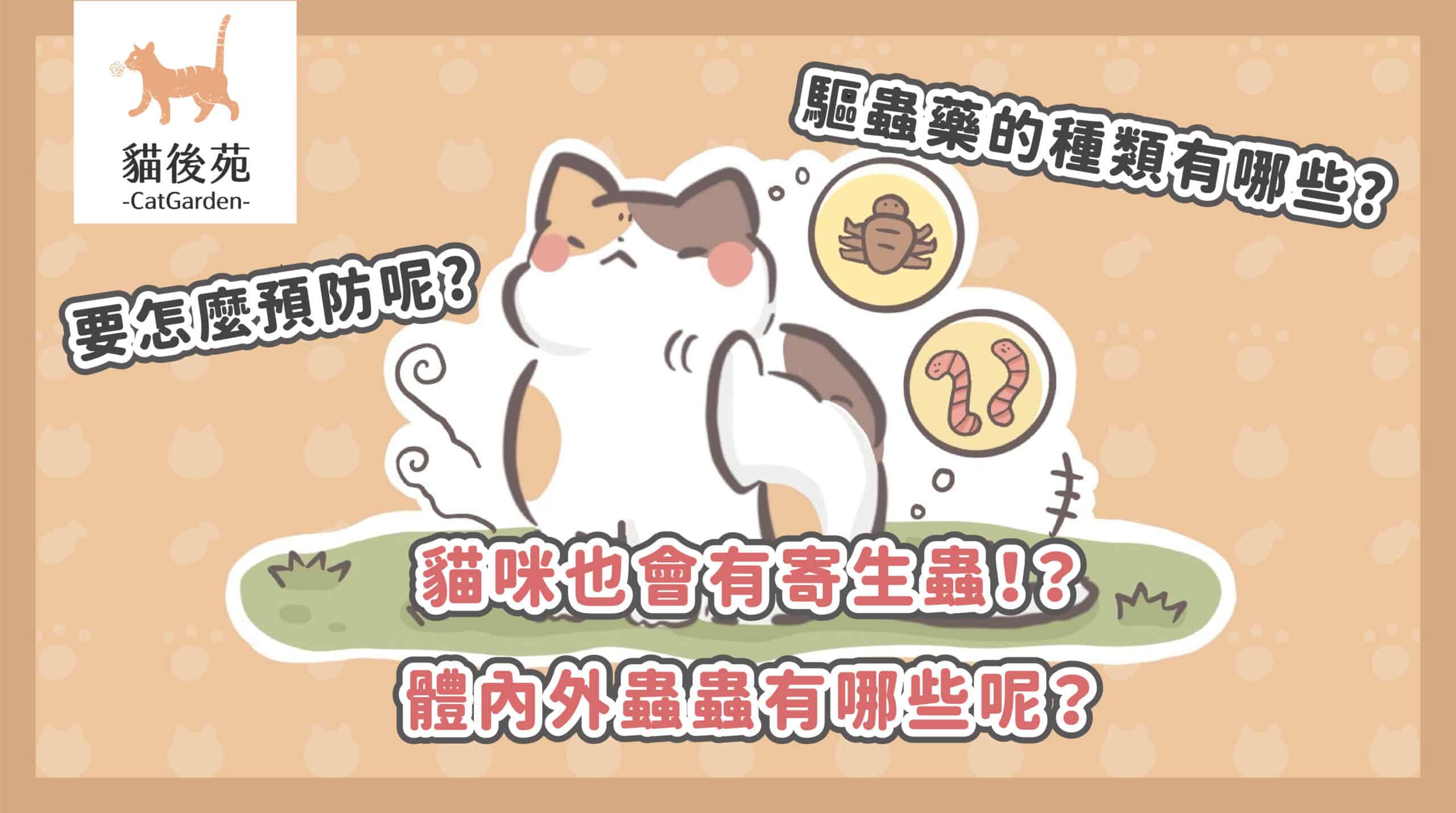 室內貓也要驅蟲嗎？獸醫揭8大貓咪寄生蟲＋幼貓體內外驅蟲全攻略