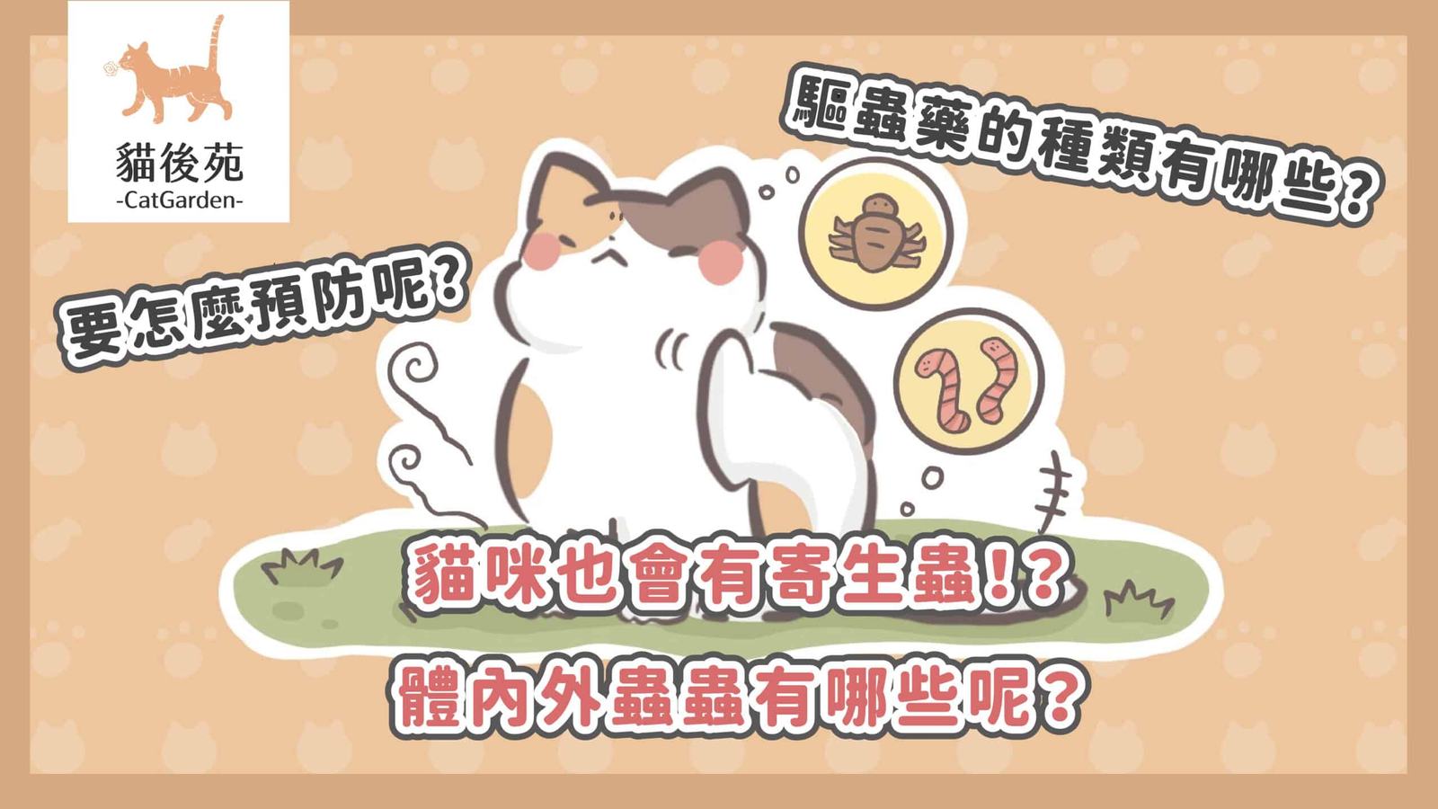 室內貓也要驅蟲嗎?獸醫揭8大貓咪寄生蟲+幼貓體內外驅蟲全攻略