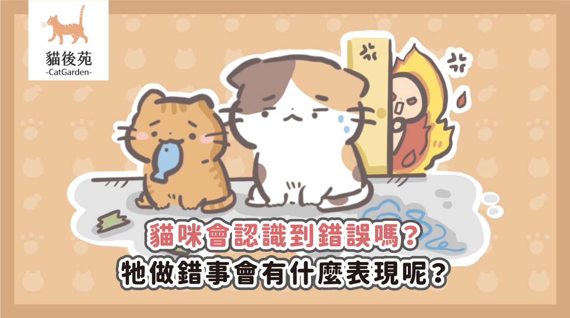 貓咪會認錯嗎？5大貓咪道歉行為全解析！讀懂空氣，輕鬆化解貓咪闖禍的尷尬時刻