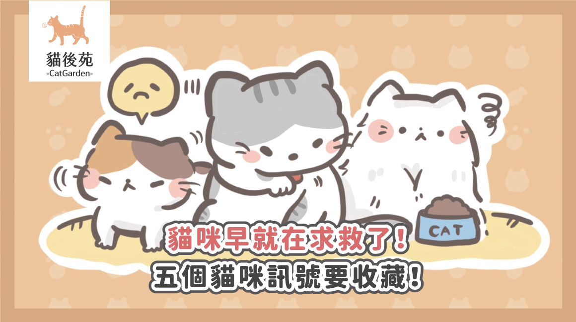 貓咪忍痛有哪些表現？5大求救訊號與就醫觀察重點