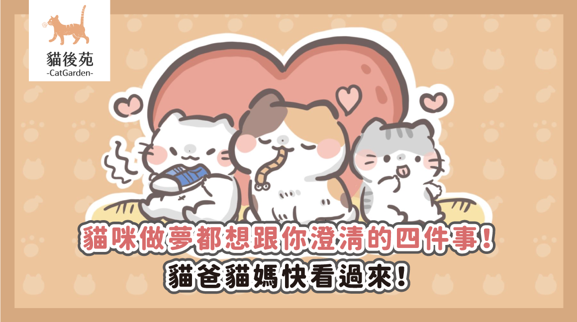 貓咪送你死蟲代表什麼?4 個行為迷思與愛的表現