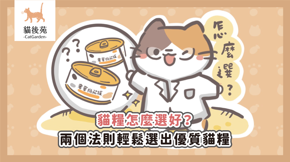 貓糧怎麼選？2 個成分判斷心法與挑食、軟便改善重點