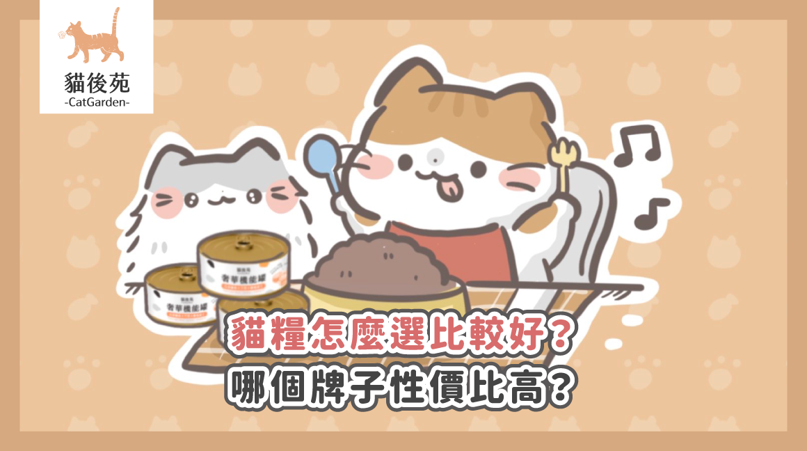 2026貓糧推薦｜3招讀懂成分表，選對高CP值貓糧不踩雷