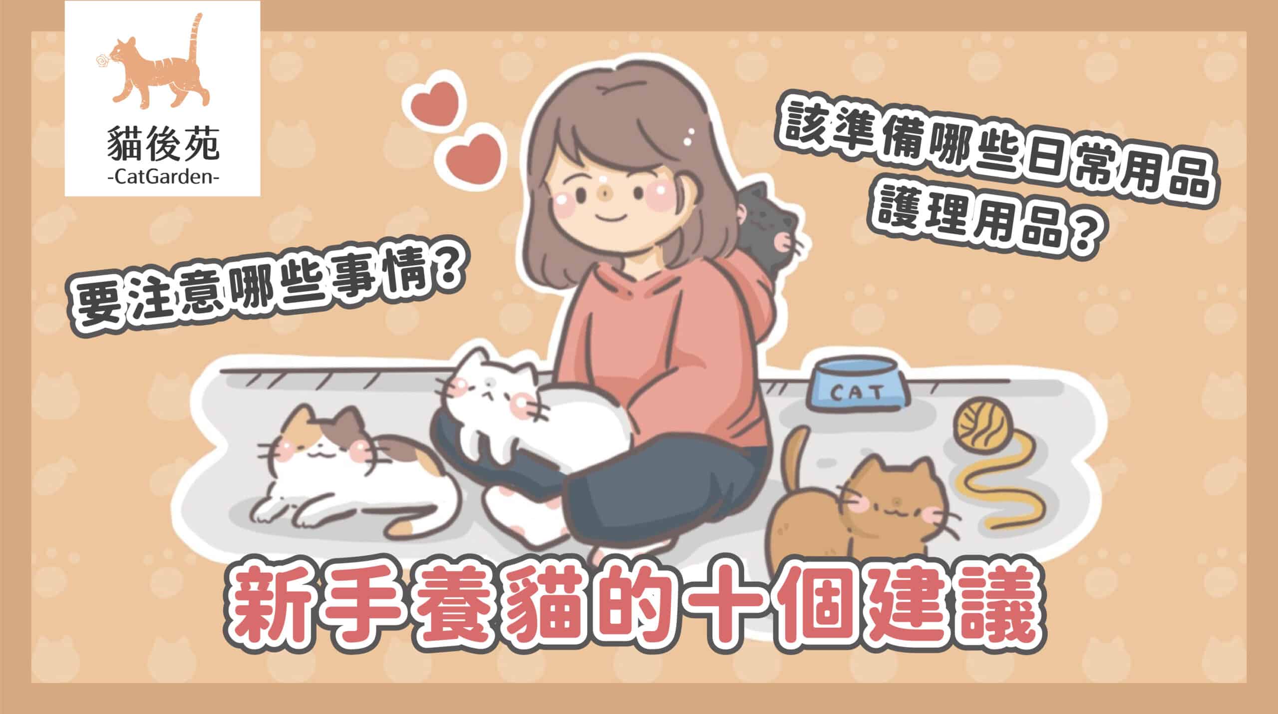 養貓前要準備什麼？10 大用品、花費與照顧重點