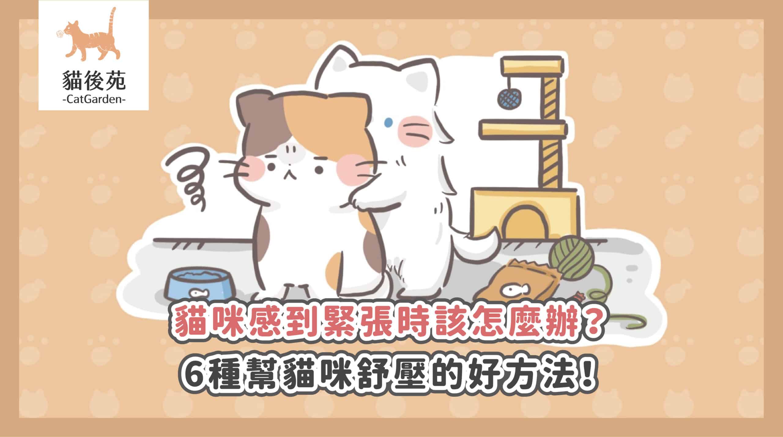 【貓咪壓力大怎麼辦？從6大緊張行為找出原因，教你有效舒壓放鬆！】