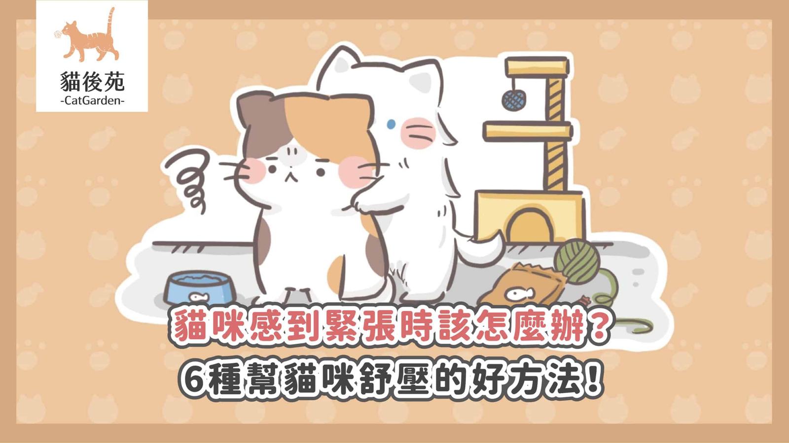 【貓咪壓力大怎麼辦?從6大緊張行為找出原因,教你有效舒壓放鬆!】