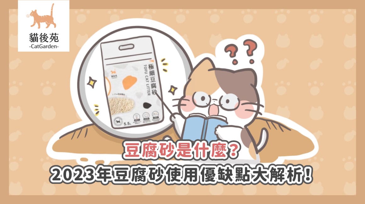 豆腐砂好用嗎？優缺點、適合族群與轉砂重點
