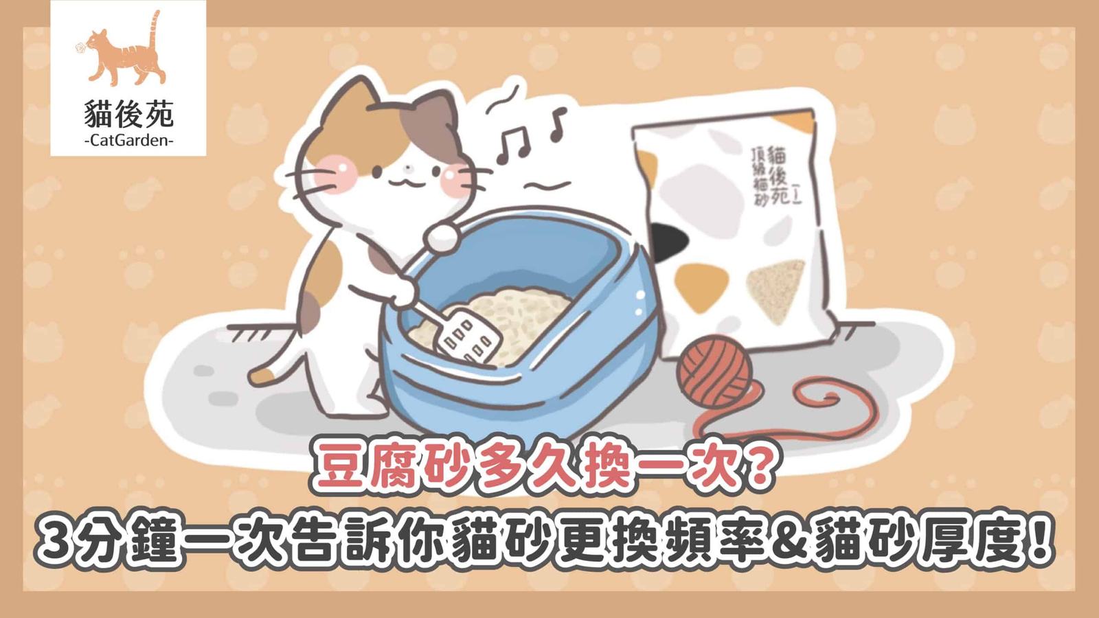 豆腐砂多久換一次?貓砂厚度怎麼抓?新手飼主完整教學