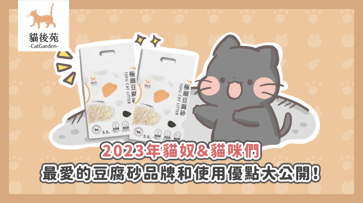 2026豆腐砂推薦指南｜優缺點、選購技巧與推薦