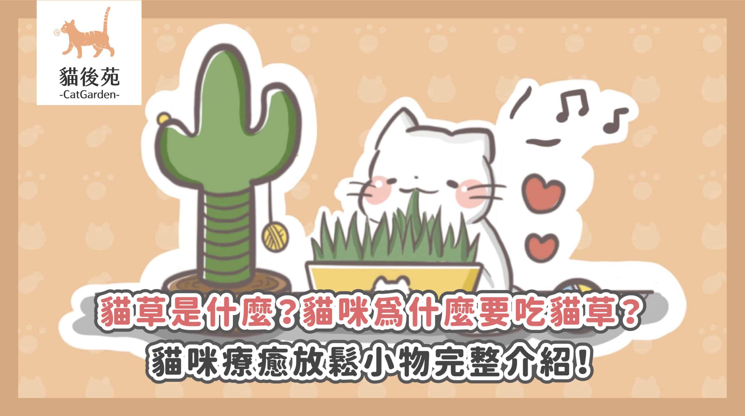 貓草和貓薄荷差在哪？功效、用法與安全注意事項