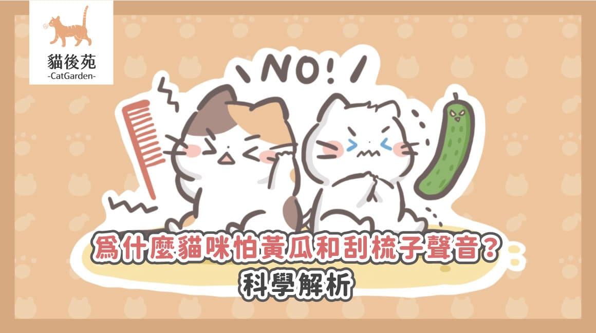 貓咪為什麼怕黃瓜?「嚇到彈飛」的科學原因與安撫方法