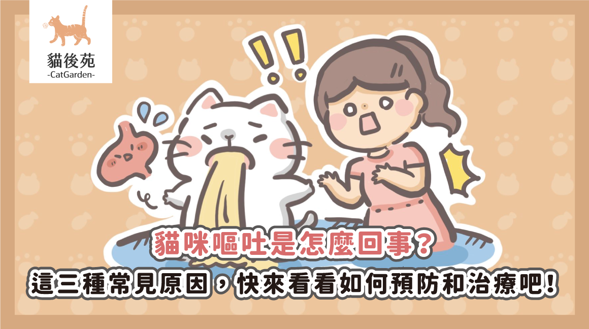 貓咪嘔吐怎麼辦?獸醫警告:吐出這3種東西超危險!原因與解決方法全攻略